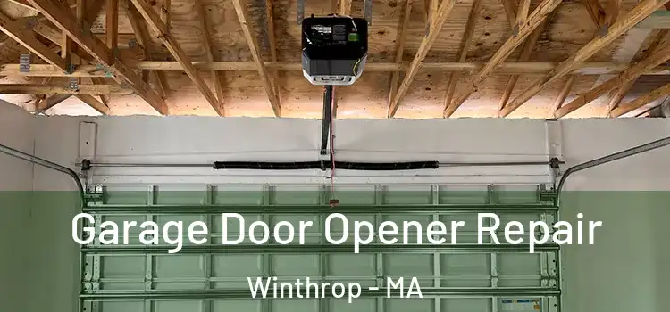  Garage Door Opener Repair Winthrop - MA
