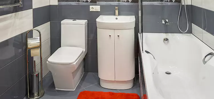 Hansgrohe Shaving Mirror Winthrop
