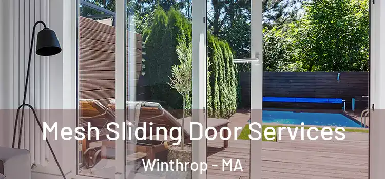 Mesh Sliding Door Services Winthrop - MA